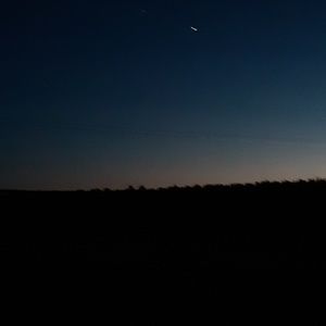 Meet your Posher, Savannah